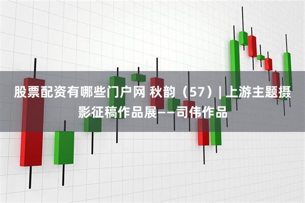 股票配资有哪些门户网 秋韵（57）| 上游主题摄影征稿作品展——司伟作品
